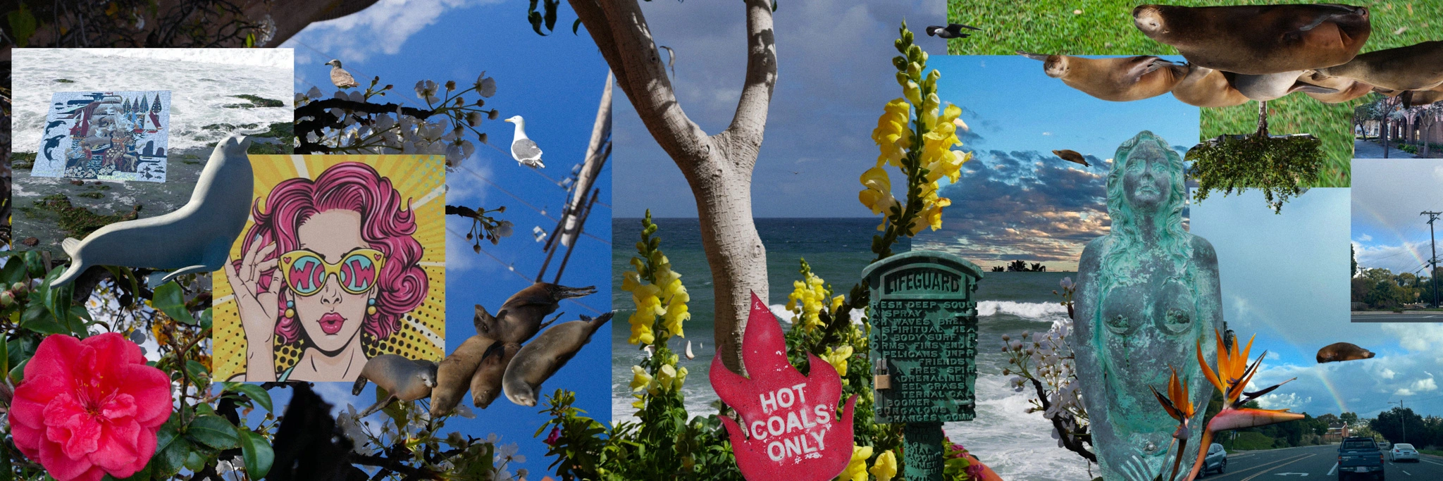 Digital collage of seals at La Jolla Cove